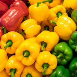 Bell Pepper - 3 pcs Pack (Mixed Colors)