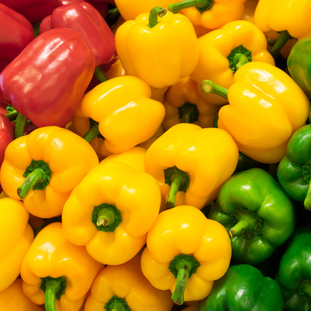 Bell Pepper - 3 pcs Pack (Mixed Colors)