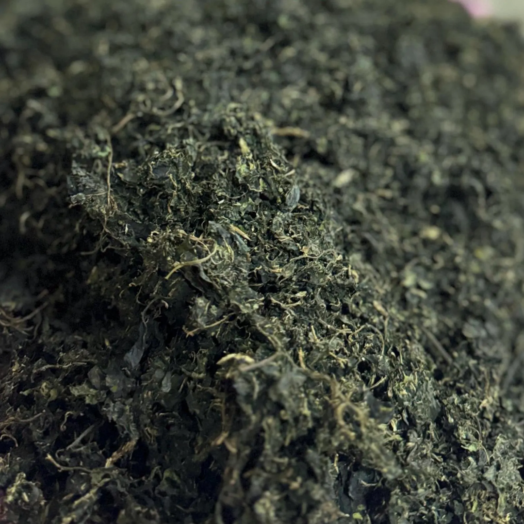 Dried Bitterleaf