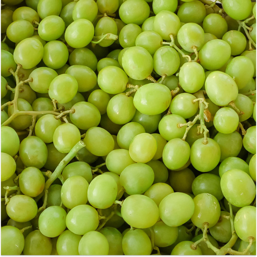 Green Seedless Grapes