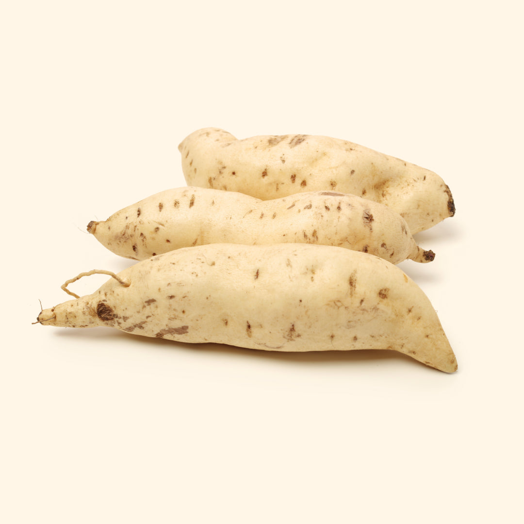 White Sweet Potato